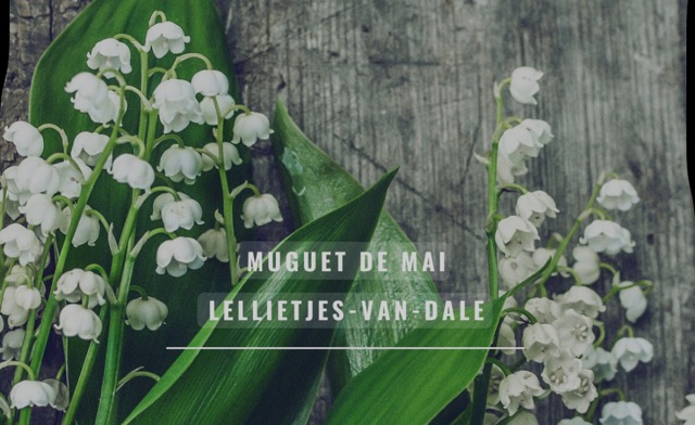 202518 02 dag van de arbeid 1 mei