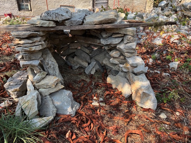 Traditioneel gebouwd hondenverblijf door Thijs